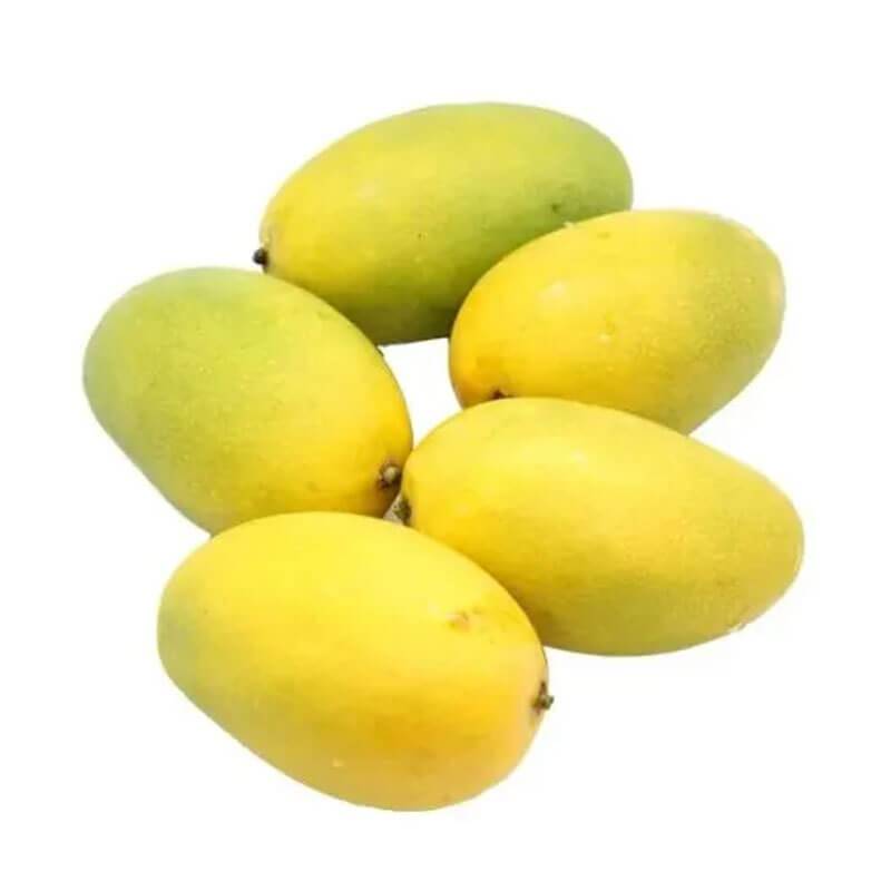 Chausa 500g