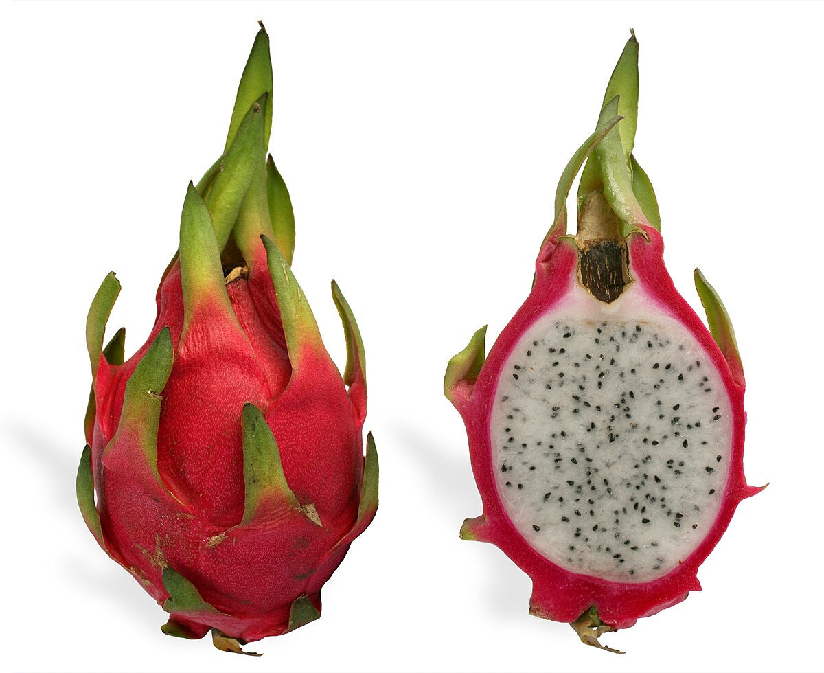 Dragon fruit 1 pc