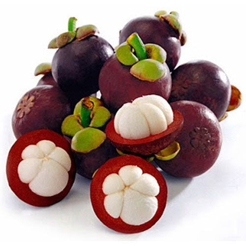 Mangosteam 250g