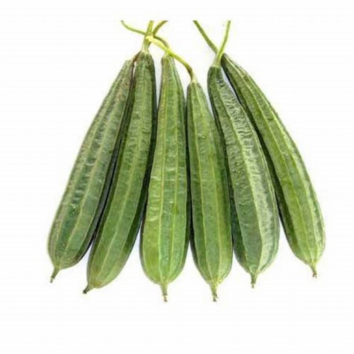 Jhika 500gm