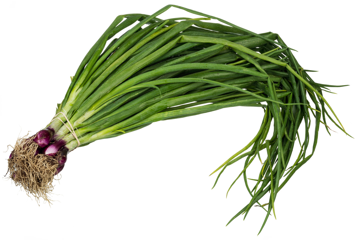 Spring onion 250gm