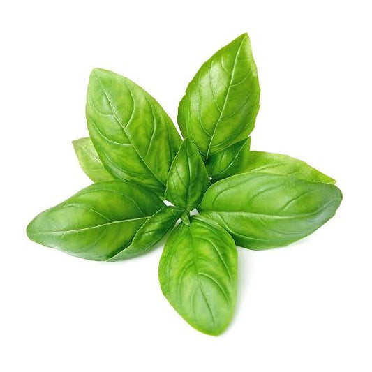 Basil leaves 100g