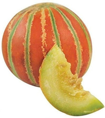 muskmelon 1 pc