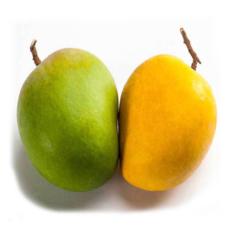 Himsagar 500g